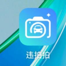 首码正规拍违章APP产品图片