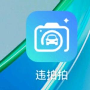 首码正规拍违章APP-货源图