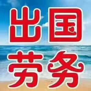 鼎顺出国留学劳务有限公司微信头像