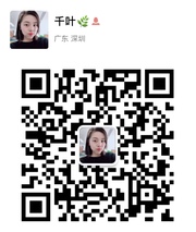 千叶头像,二维码