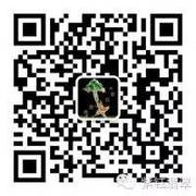德升~紫钰翡翠/江永杰头像,二维码