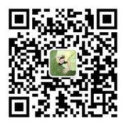 wenjun-guoliang头像,二维码