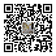 盼盼头像,二维码