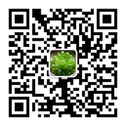 小奥头像,二维码