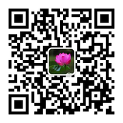 九蒸九晒老黄姜头像,二维码