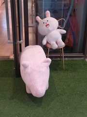 小古奥妙头像,二维码