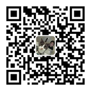 糖果麻麻:purple_heart:一手货源头像,二维码