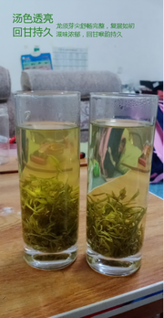 张家界莓茶藤茶头像，二维码