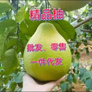 精品柚头像，二维码